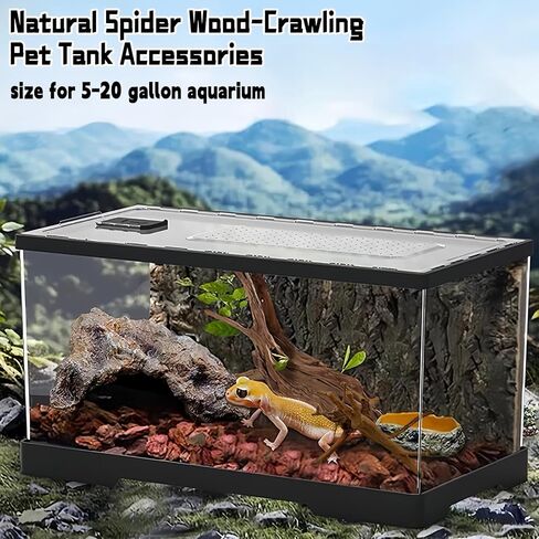 Hamiledyi 5PCS Driftwood for Aquarium 7-9inch Natural Reptile Spider Wood Assorted Branches Aquarium Decoration Fish Tank Ornament Decor. in Saudi Arabia