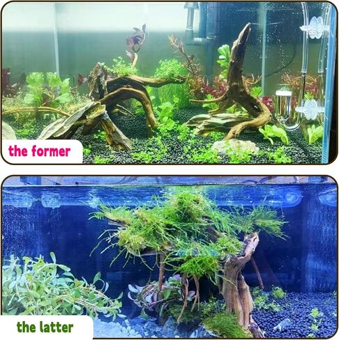 Hamiledyi 5PCS Driftwood for Aquarium 7-9inch Natural Reptile Spider Wood Assorted Branches Aquarium Decoration Fish Tank Ornament Decor. in Saudi Arabia