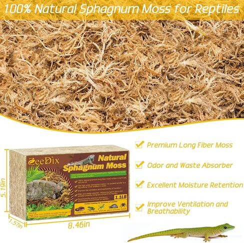 ZeeDix 2.2LBS طحالب الطحالب للزواحف، 50QT قسط الطحالب المجففة ل Terrarium طويلة الألياف الفهد أبو بريص الطحلب الطبيعي الطحالب الطحالب الفراش للضفادع Anoles ثعبان السلاحف النباتات in Saudi Arabia