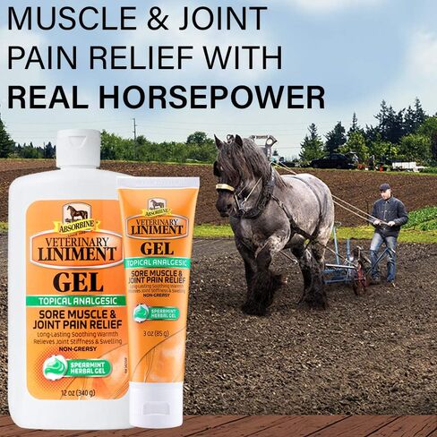 امتصاص Liniment البيطري المسكن الموضعي المسكنة والتهاب المفاصل تخفيف آلام الدفء الدفء ، هلام 12 أونصة هلام in Saudi Arabia