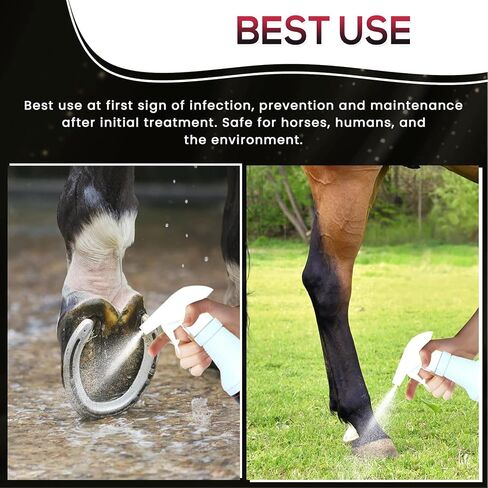 SBS Equine Spray | Hoof Treatment Provides Antiseptic Barrier Against Infection | Fights Hoof iIlness | Long-Lasting (16 Fluid Oz Spray) in Kuwait