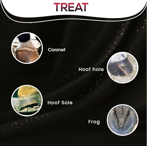 SBS Equine Spray | Hoof Treatment Provides Antiseptic Barrier Against Infection | Fights Hoof iIlness | Long-Lasting (16 Fluid Oz Spray) in Kuwait