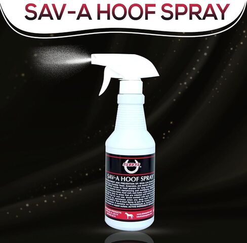 SBS Equine Spray | Hoof Treatment Provides Antiseptic Barrier Against Infection | Fights Hoof iIlness | Long-Lasting (16 Fluid Oz Spray) in Kuwait