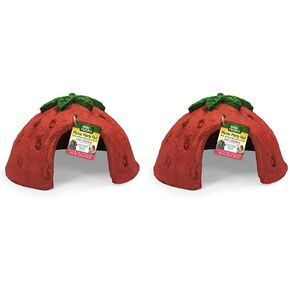 Wild Harvest™ Picnic Party Hut, Artificial Strawberry Flavored House for Pets, 1 Ct.