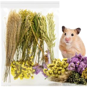 SUKH HERB BEDDAD HABIDAT DICER - زهرة طبيعية زميل ماس رفيق الأعشاب قفص آمن إكسسوارات الحيوانات الأليفة ديكورات مخبأ للهامستر فأر غينيا خنزير القزم جيربيلز السوري in Kuwait