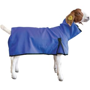 Goat Blanket, Medium, Blue