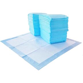 Amazon Basics Absorbent Puppy Pads for Potty Training and Incontinence, 5-Layer Leak-Proof Design, Quick-Dry Surface, Regular Size, 22 x 22 Inch, Scented, Pack of 100, Blue & White