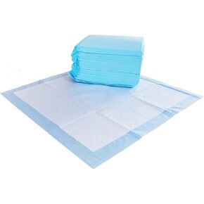 Amazon Basics Absorbent Puppy Pads for Potty Training and Incontinence, 5-Layer Leak-Proof Design, Quick-Dry Surface, Regular Size, 22 x 22 Inch, Scented, Pack of 100, Blue & White