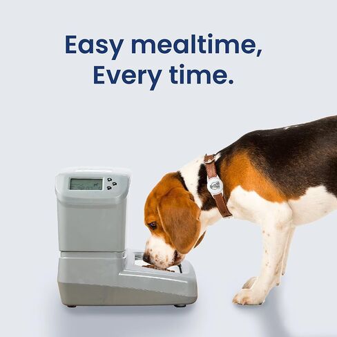 Automatic Cat/Dog Feeder, Collar Activated RFID Cat Food Dispenser 32 Cups- 6 Meals, Timed Pet Feeder with Silicon Dog Tag, Portion Control for Cat Feeder (Upgraded PortionPro Rx Auto cat feeders) in Saudi Arabia