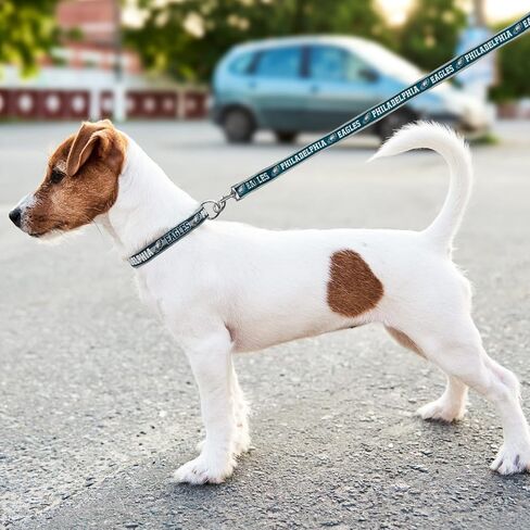 NFL PET Leash Indianapolis Colts Dog Leash, Medium Football Team Leash for Dogs & Cats. A Shiny & Colorful Cat Leash & Dog Leash Licensed by The NFL in Kuwait