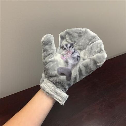 Exotic Nutrition Calming Glove - Comfy Bonding Mitt for Sugar Gliders, Hedgehogs, Rats, Hamsters, & Other Small Pets in Saudi Arabia