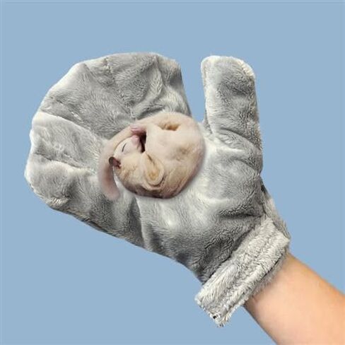 Exotic Nutrition Calming Glove - Comfy Bonding Mitt for Sugar Gliders, Hedgehogs, Rats, Hamsters, & Other Small Pets in Saudi Arabia