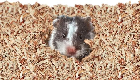 Kaytee Aspen Small Animal Pet Bedding For Pet Guinea Pigs, Rabbits, Hamsters, Gerbils, and Chinchillas, 52.4 Liters in Kuwait