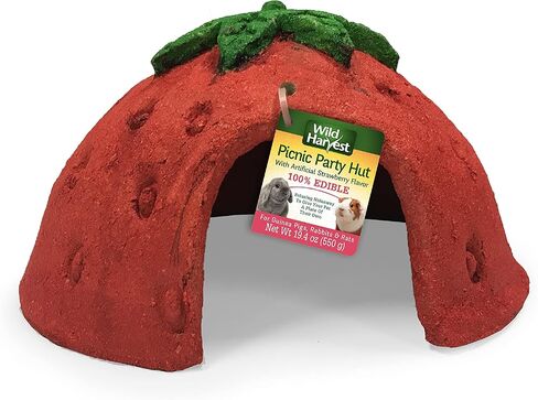 Wild Harvest ™ Picnic Party Hut ، منزل بنكهة الفراولة الاصطناعية للحيوانات الأليفة ، 1 ط م. in Kuwait