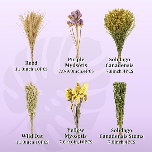 SUKH HERB BEDDAD HABIDAT DICER - زهرة طبيعية زميل ماس رفيق الأعشاب قفص آمن إكسسوارات الحيوانات الأليفة ديكورات مخبأ للهامستر فأر غينيا خنزير القزم جيربيلز السوري in Kuwait