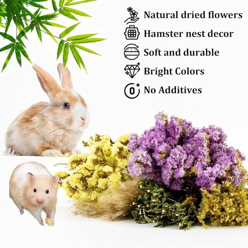 SUKH HERB BEDDAD HABIDAT DICER - زهرة طبيعية زميل ماس رفيق الأعشاب قفص آمن إكسسوارات الحيوانات الأليفة ديكورات مخبأ للهامستر فأر غينيا خنزير القزم جيربيلز السوري in Kuwait