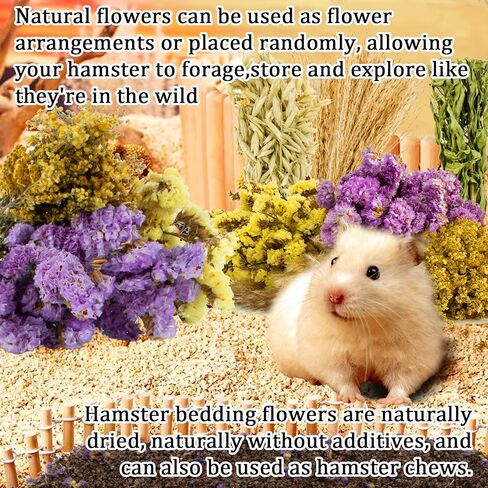 SUKH HERB BEDDAD HABIDAT DICER - زهرة طبيعية زميل ماس رفيق الأعشاب قفص آمن إكسسوارات الحيوانات الأليفة ديكورات مخبأ للهامستر فأر غينيا خنزير القزم جيربيلز السوري in Kuwait