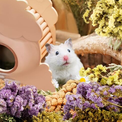 SUKH HERB BEDDAD HABIDAT DICER - زهرة طبيعية زميل ماس رفيق الأعشاب قفص آمن إكسسوارات الحيوانات الأليفة ديكورات مخبأ للهامستر فأر غينيا خنزير القزم جيربيلز السوري in Kuwait