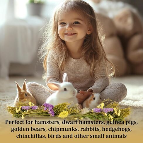 SUKH HERB BEDDAD HABIDAT DICER - زهرة طبيعية زميل ماس رفيق الأعشاب قفص آمن إكسسوارات الحيوانات الأليفة ديكورات مخبأ للهامستر فأر غينيا خنزير القزم جيربيلز السوري in Kuwait