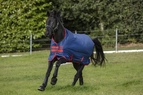 AMIGO Mio Turnout Sheet Lite Black/Turquoise/Black 81 in Saudi Arabia