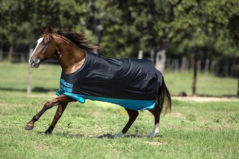 AMIGO Mio Turnout Sheet Lite Black/Turquoise/Black 81 in Saudi Arabia