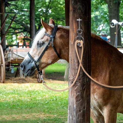 Blocker tie Ring for Horses,Horse tack and Supplies Horse Accessories,Horse tie Ring Prevents Horses from Pulling Back Sturdy Stainless Steel in Saudi Arabia