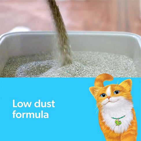 Fresh Step Clumping Cat Litter, With Gain, Advanced, Extra Large, 37 Pounds total (2 Pack of 18.5lb Boxes) in Saudi Arabia