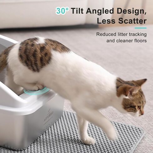 Stainless Steel Litter Box | XL Enclosed Cat Litter Box with Lid for Big Cats | High Sided, Anti-Urine Leakage | Non-Stick Bottom & Includes Litter Mat & Metal Scoop in Kuwait