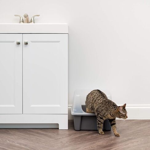 IRIS USA Large Cat Litter Box with Scatter Shield and Scoop, Open Top High Sided Cat Litter Pan, Black in Kuwait