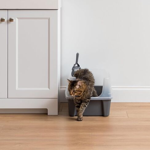 IRIS USA Large Cat Litter Box with Scatter Shield and Scoop, Open Top High Sided Cat Litter Pan, Black in Kuwait