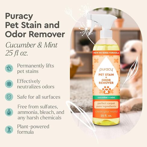Puracy Pet Stain and Roading Money - إنزيم منظف للبول الكلب والسجادة البوت - منظف إنزيم البول الأليف - منظف إنزيم Cat Pee لـ Cat Proine Enzyme Destroyer - Cucumber & Mint ، 25oz in Kuwait
