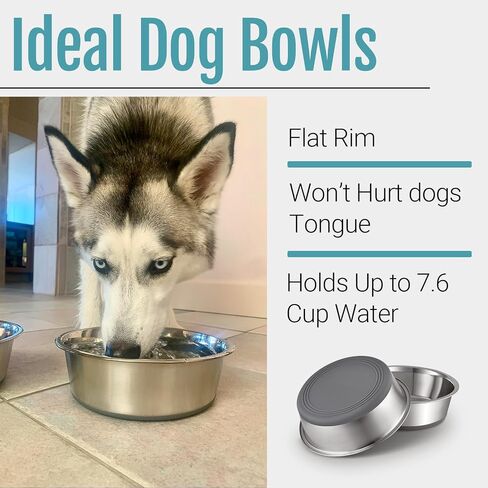 PEGYY11 Nonslip Stainless Steel Dog Bowls, 3.8 US Cup, 2 Count in Kuwait