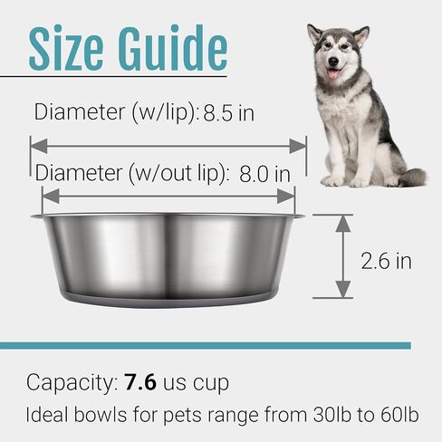 PEGYY11 Nonslip Stainless Steel Dog Bowls, 3.8 US Cup, 2 Count in Kuwait
