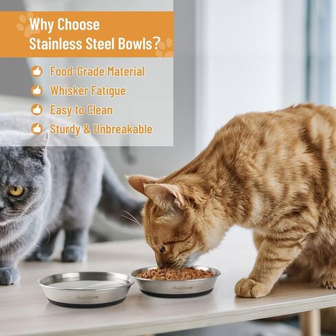 Cat Bowls, 304 Stainless Steel Non-Slip Wide Shallow, 2 Pack in Saudi Arabia