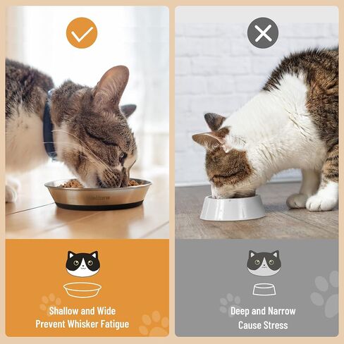 Cat Bowls, 304 Stainless Steel Non-Slip Wide Shallow, 2 Pack in Saudi Arabia