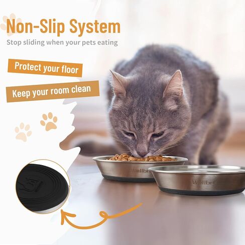 Cat Bowls, 304 Stainless Steel Non-Slip Wide Shallow, 2 Pack in Saudi Arabia
