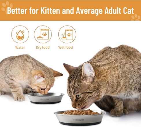Cat Bowls, 304 Stainless Steel Non-Slip Wide Shallow, 2 Pack in Saudi Arabia