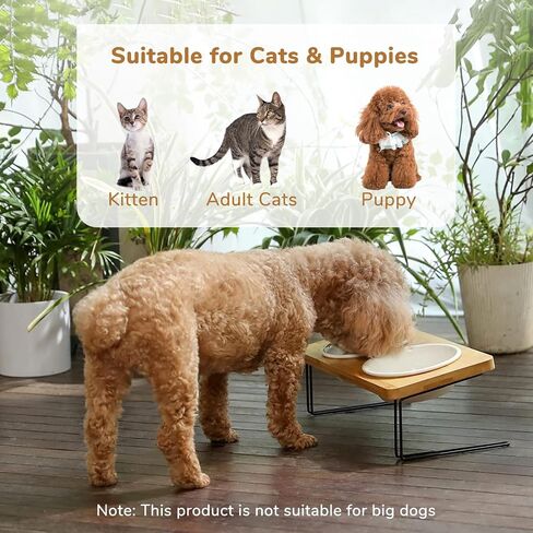 FUKUMARU Elevated Cat Ceramic Bowls, Small Dog 15° Tilted Raised Food Feeding Dishes, Solid Bamboo Water Stand Feeder Set for Cats and Puppy in Kuwait