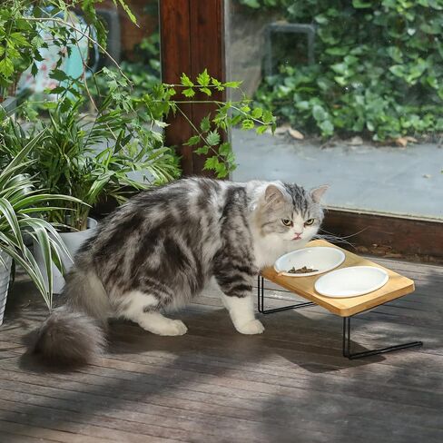 FUKUMARU Elevated Cat Ceramic Bowls, Small Dog 15° Tilted Raised Food Feeding Dishes, Solid Bamboo Water Stand Feeder Set for Cats and Puppy in Kuwait