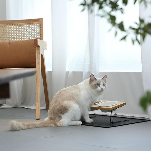 FUKUMARU Elevated Cat Ceramic Bowls, Small Dog 15° Tilted Raised Food Feeding Dishes, Solid Bamboo Water Stand Feeder Set for Cats and Puppy in Kuwait