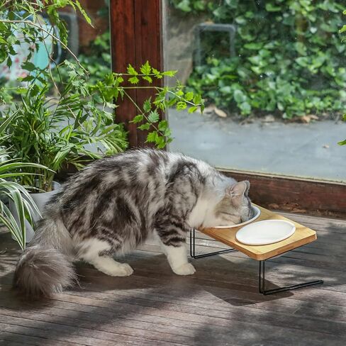 FUKUMARU Elevated Cat Ceramic Bowls, Small Dog 15° Tilted Raised Food Feeding Dishes, Solid Bamboo Water Stand Feeder Set for Cats and Puppy in Kuwait