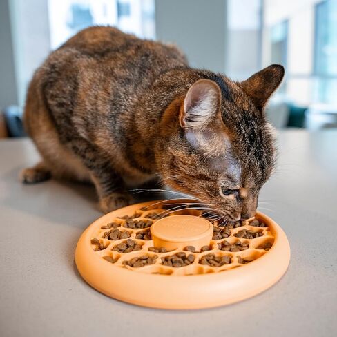Catstages Kitty Lickin' Layers Multilayered Cat Fun Feeder Cat Treat Puzzle in Saudi Arabia