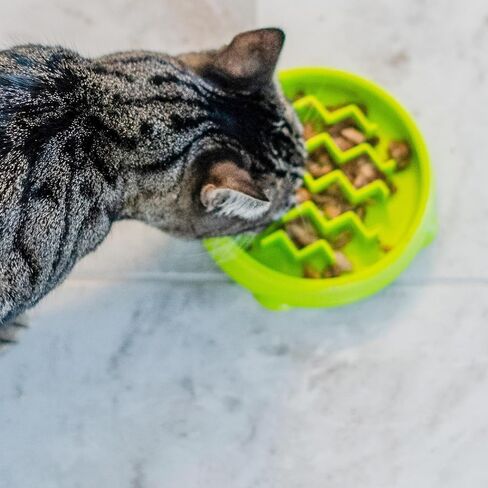 Catstages Kitty Slow Feeder Cat Bowl, Green in Saudi Arabia