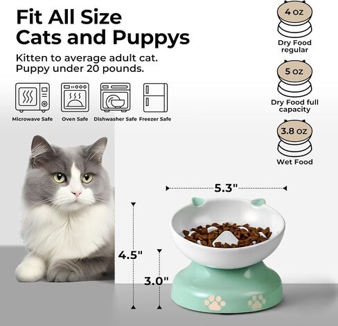 y yhy ceramic cat plower proiled ، heaftated cat food bowl design ، cog slow freeer bowl no chin back in Kuwait