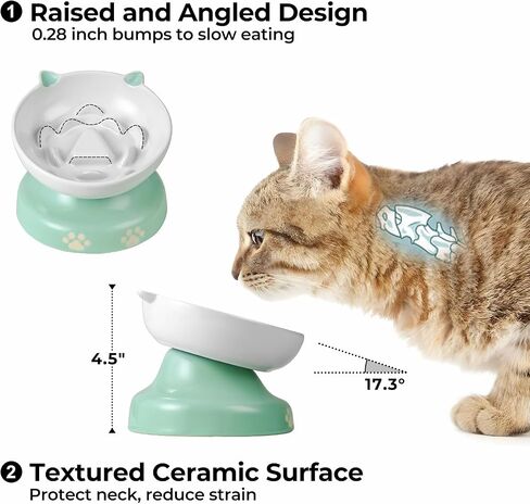 y yhy ceramic cat plower proiled ، heaftated cat food bowl design ، cog slow freeer bowl no chin back in Kuwait