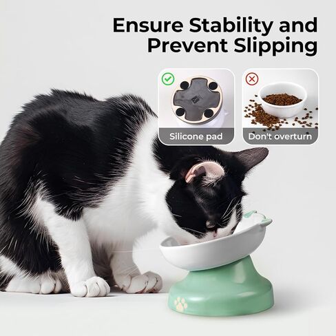 y yhy ceramic cat plower proiled ، heaftated cat food bowl design ، cog slow freeer bowl no chin back in Kuwait