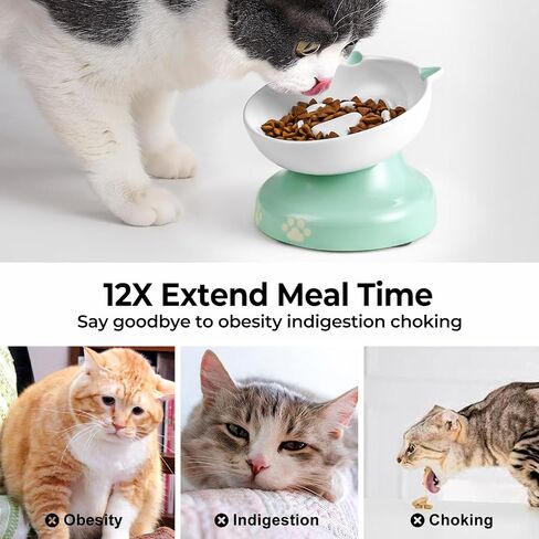 y yhy ceramic cat plower proiled ، heaftated cat food bowl design ، cog slow freeer bowl no chin back in Kuwait