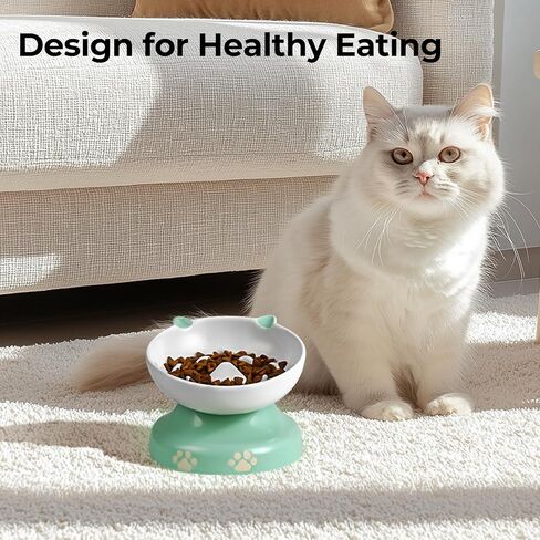 y yhy ceramic cat plower proiled ، heaftated cat food bowl design ، cog slow freeer bowl no chin back in Kuwait