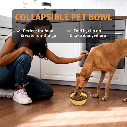 5 Pack Collapsible Dog Bowls Travel Dog Cat Water Food Bowls Portable Foldable Collapse Dishes with Carabiner Clip for Traveling Hiking Walking in Saudi Arabia