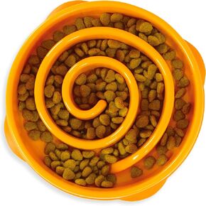وعاء Slo Fun Fun Fun Fun ، وعاء الكلب البطيء ، المتوسط/المصغر ، الفيروز